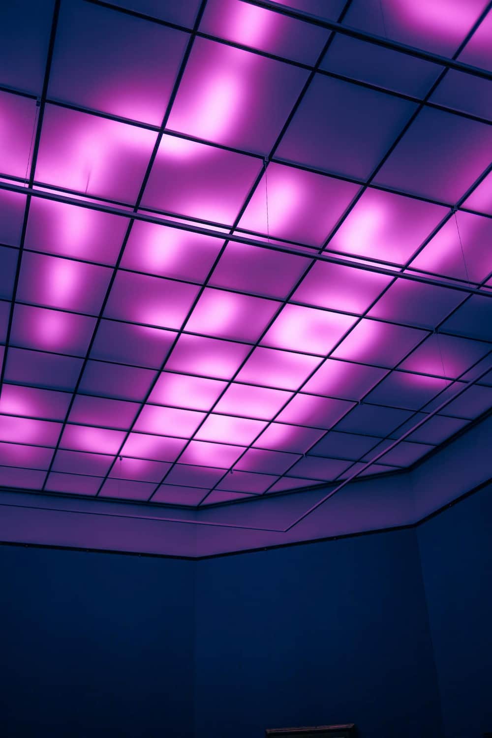 Consultant IA, data et cloud de Snappy Consulting — réseau de données abstrait